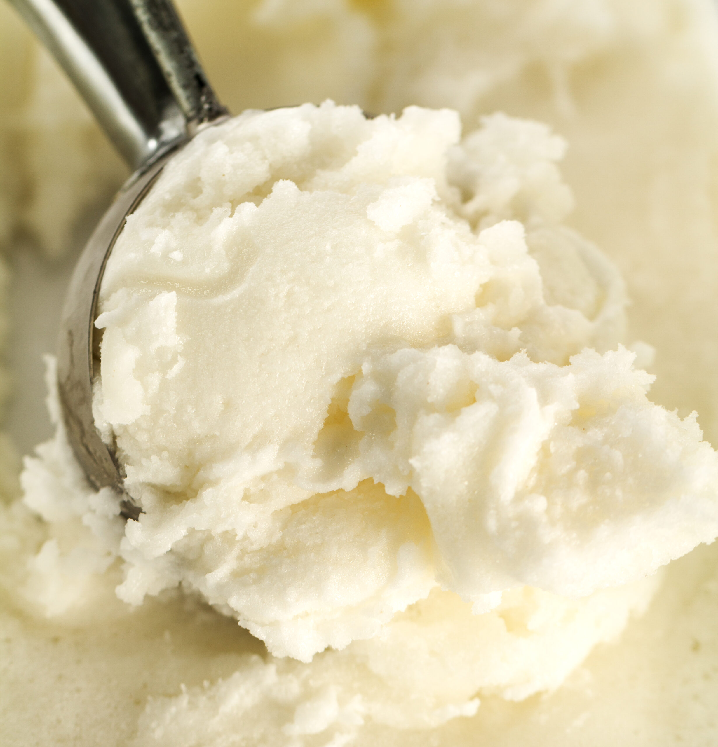 VANILLA ICE CREAM (1 scoop)